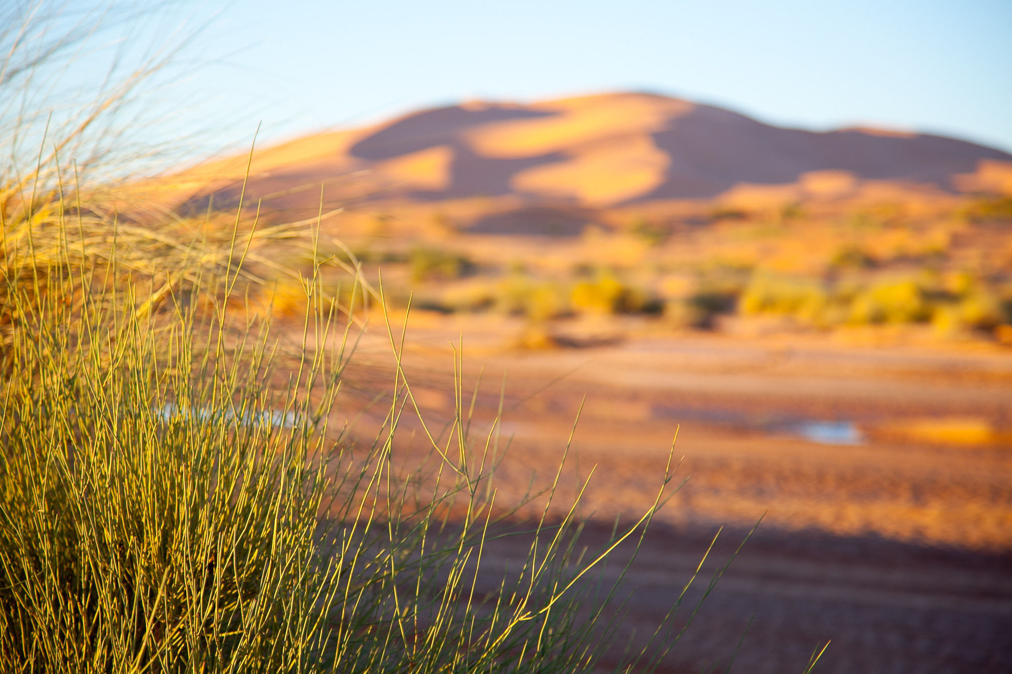 Kam Kam Dunes Merzouga Exterior foto